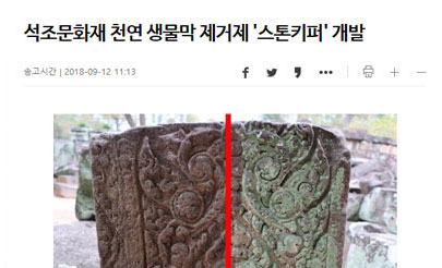 석조국가유산 생물막 제거제 스톤키퍼 개발 관련 기사